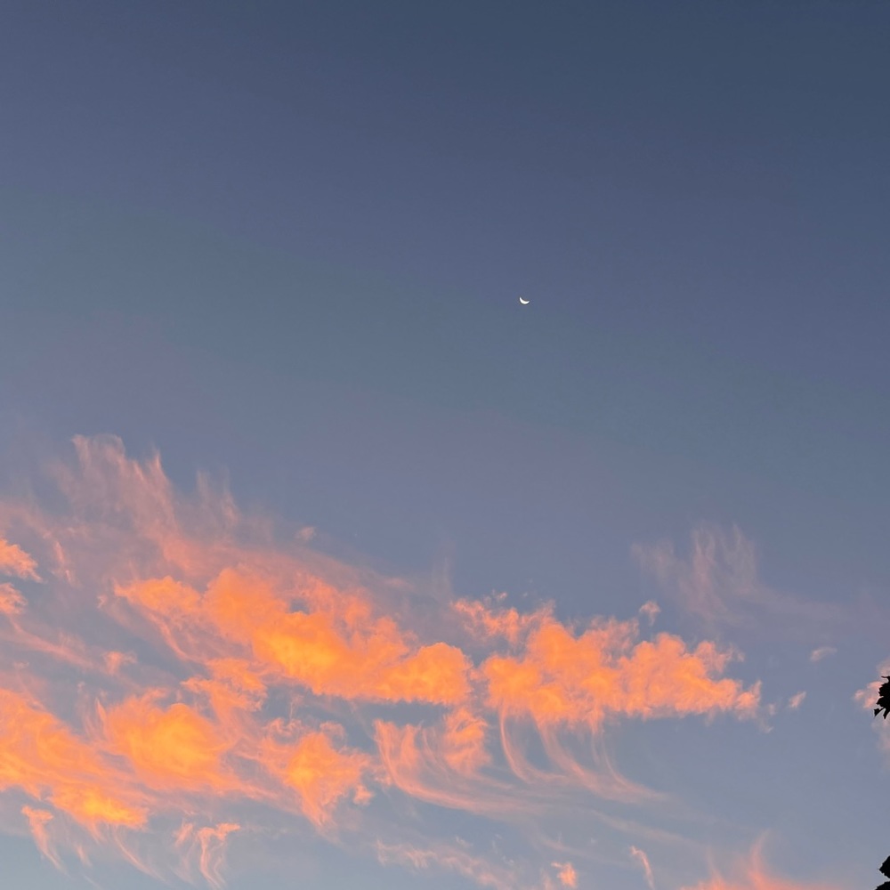 Meet your Posher, Teagan